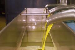 Είδε τον αγώνα της βραδιάς και...του ´κλεψαν το λάδι της χρονιάς !