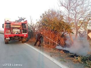 Φωτογραφία για Και πάλι πυρκαγιά στην Λήμνο, πήρε φωτιά μέχρι και κολόνα της ΔΕΗ