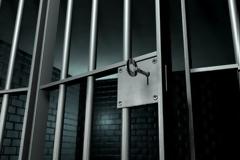 Φυλάκιση 2,5 ετών στους δυο υπαλλήλους του Αλβανικού ΥΠΕΞ για το προπαγανδιστικό υλικό