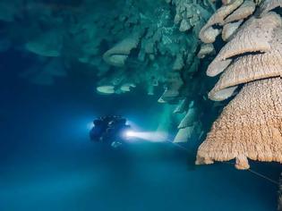 Φωτογραφία για Cenote Zapote: Οι καμπάνες της κόλασης [photos]