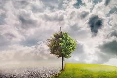 Η φύση εκδικείται δηλητηριάζοντάς μας...!