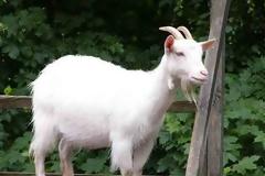 Πως μια γυναίκα έβγαλε 1.000.0000 δολάρια μέσα σε μία ημέρα από μια και μόνο ιδέα