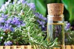 Το μυστικό της μακροζωίας μπορεί κρύβεται στο δενδρολίβανο