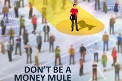 Ολοκληρώθηκε με επιτυχία η δεύτερη ευρείας κλίμακας αστυνομική επιχείρηση για την καταπολέμηση της μεταφοράς παράνομου χρήματος στην Ευρώπη