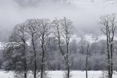 Απίστευτο! Το παγωμένο λευκό ουράνιο τόξο στη Σκωτία [photo]