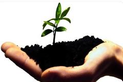 Tο 64% των Ελλήνων επιθυμεί να γίνει... επιχειρηματίας