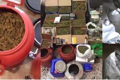 «Λαβράκι» της αστυνομίας με …10 κιλά κάνναβης [video]