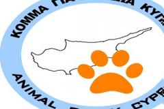 Κύπρος: Απαράδεκτες συνθήκες μεταφοράς σφάγιων καταγγέλλει το Κόμμα για τα Ζώα [photo]