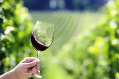 Το ελληνικό κρασί πάει ...Τόκυο!