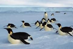 Στην Ανταρκτική το μεγαλύτερο θαλάσσιο πάρκο στον κόσμο