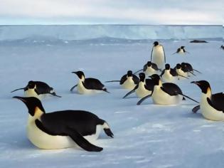 Φωτογραφία για Στην Ανταρκτική το μεγαλύτερο θαλάσσιο πάρκο στον κόσμο