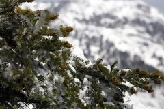 Καιρός: Εισβολή χιονιά από σήμερα. 10 βαθμούς κάτω το θερμόμετρο