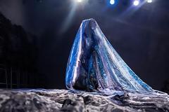 Πορτραίτο της Αιωνιότητας