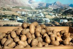 Η ιστορία της ... πεντανόστιμης πατάτας