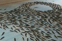 Έκλεισε το παγοδρόμιο με τα 5.000 κατεψυγμένα ψάρια