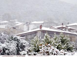 Φωτογραφία για Καιρός: Χιονίζει από τον Έβρο μέχρι τα ορεινά της Λάρισας - Το έστρωσε σε σπίτια και δρόμους!