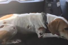 ΕΙΚΟΝΕΣ-ΣΟΚ! 