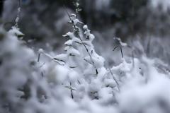 Στο ψυγείο η χώρα, υποχωρεί η ψυχρή εισβολή