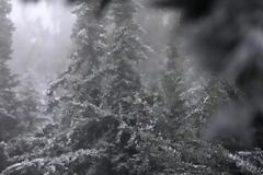 Ποια σχολεία θα παραμείνουν κλειστά λόγω του χιονιά