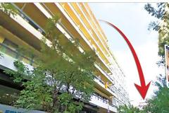 22χρονη Λίνα Κοεμτζή, ΑΠΘ: ΣΟΚΑΡΕΙ η τελευταία ανάρτηση στο Instagram - 