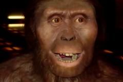 Νέα στοιχεία για τη «Λούσι» – Περνούσε πολλές ώρες πάνω στα δέντρα και πέθανε όταν έπεσε κάτω