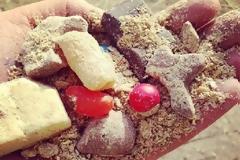 Αυστραλός ιδιοκτήτης φάρμας ταΐζει τις αγελάδες με σοκολάτα!