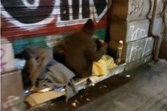 Υπάρχουν άνθρωποι που ζουν μονάχοι... από έναν ΑΝΑΓΝΩΣΤΗ