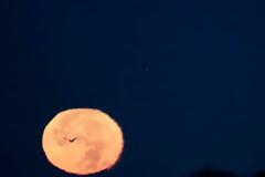 Μελέτη του Χάρβαρντ: Χάνει η νέα γενιά την πίστη της στη Δημοκρατία;