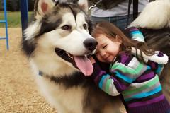 Ένα εξαιρετικό εκπαιδευτικό πρόγραμμα για να μάθουν τα μικρά παιδιά πως πρέπει να συμπεριφέρονται στα σκυλιά