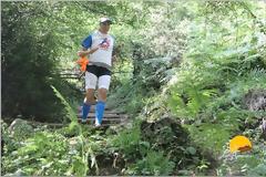 Γιάννενα: Στο δασύλλιο, πεύκο καταπλάκωσε αθλήτρια που έκανε τζόκινγκ, τραυματίζοντάς την σοβαρά