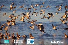 Προστατευόμενη Περιοχή Δέλτα Αξιού – Λουδία – Αλιάκμονα