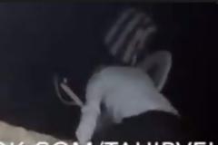 Η μάχη της σημαίας