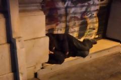 ΑΝΑΓΝΩΣΤΗΣ: Το 