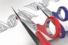 Ξεκινά ο πόλεμος της πατέντας για το επαναστατικό CRISPR