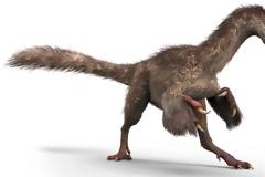 Βρήκαν ουρά δεινοσαύρου 