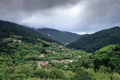 Ζαρούχλα Αχαΐας: Σπιτική φιλοξενία μέσα στο δάσος