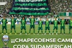 Η ζωή συνεχίζεται – ΑΥΤΟΣ είναι ο Νέος ΠΡΟΠΟΝΗΤΗΣ της  ξεκληρισμένης Τσαπεκοένσε ανακοίνωσε νέο προπονητή  [photo]