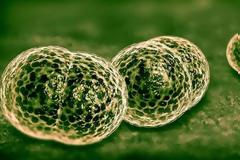 Μήπως έχετε έχετε γρίπη και ζαλάδες; ΠΡΟΣΟΧΗ - Αυτά είναι τα 5 συμπτώματα της ΜΗΝΙΓΓΙΤΙΔΑΣ που πρέπει να γνωρίζετε