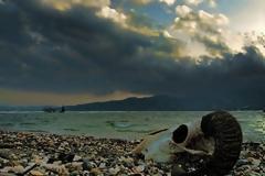 «Μετά την ήττα»