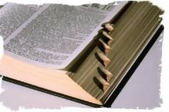 Ποιες είναι οι τουρκικές λέξεις που χρησιμοποιούμε καθημερινά