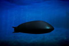 Μη επανδρωμένο ρωσικό υποβρύχιο με πυρηνικό πύραυλο/τορπίλη!