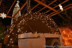 Χίος: Φωτίστηκε το μεγαλύτερο φυσικό δέντρο του Αιγαίου με 175.000 λαμπάκια [video]