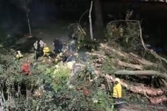 Γάμος στην Καλιφόρνια βάφτηκε με αίμα