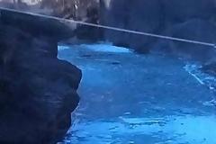 Πάγωσε ο ποταμός Βενέτικος στο Νομό Γρεβενών!