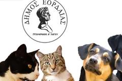 Ο Δήμος Εορδαίας μας καλεί να δηλώσουμε το κατοικίδιο μας στο ειδικό μητρώο & αυτό είναι υποχρεωτικό