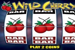 Γαστούνη: Συνελήφθησαν τρία άτομα για τυχερά παίγνια