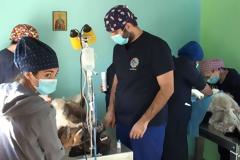 Οι «φτερωτοί κτηνίατροι» στα Γρεβενά! [video]