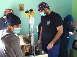 Φωτογραφία για Οι «φτερωτοί κτηνίατροι» στα Γρεβενά! [video]