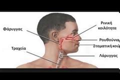 Είναι φαρυγγίτιδα ή λαρυγγίτιδα; Δείτε τα συμπτώματα και πώς αντιμετωπίζονται