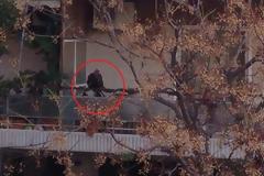 Γαλοπούλα δεμένη από το πόδι σε μπαλκόνι στην Ηλιούπολη